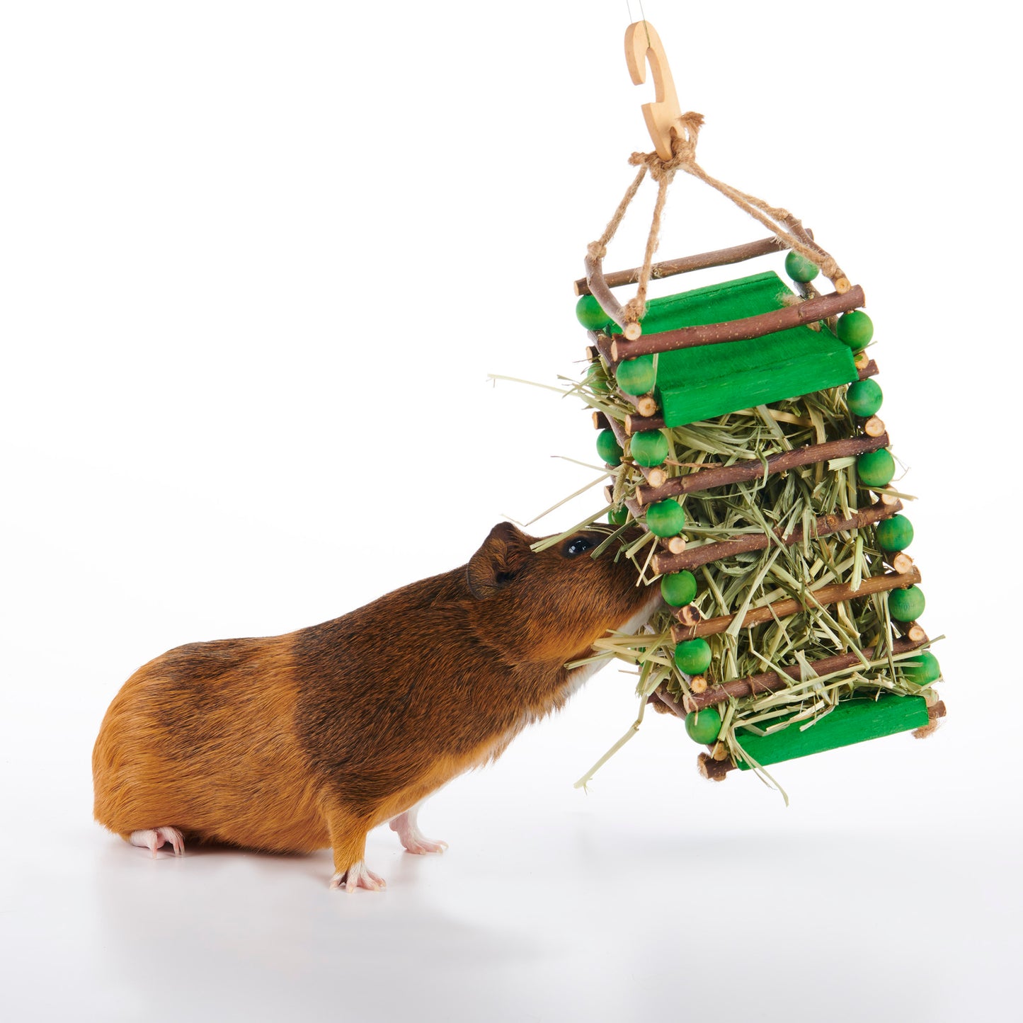 Apple Stick Hay Feeder (Enriched Life) - BinkyBunny.com House Rabbit Store