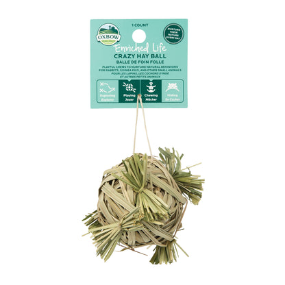Crazy Hay Ball (Enriched Life) - BinkyBunny.com House Rabbit Store