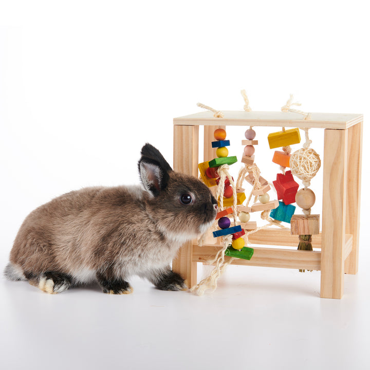 Wooden chew toys for rabbits cheap