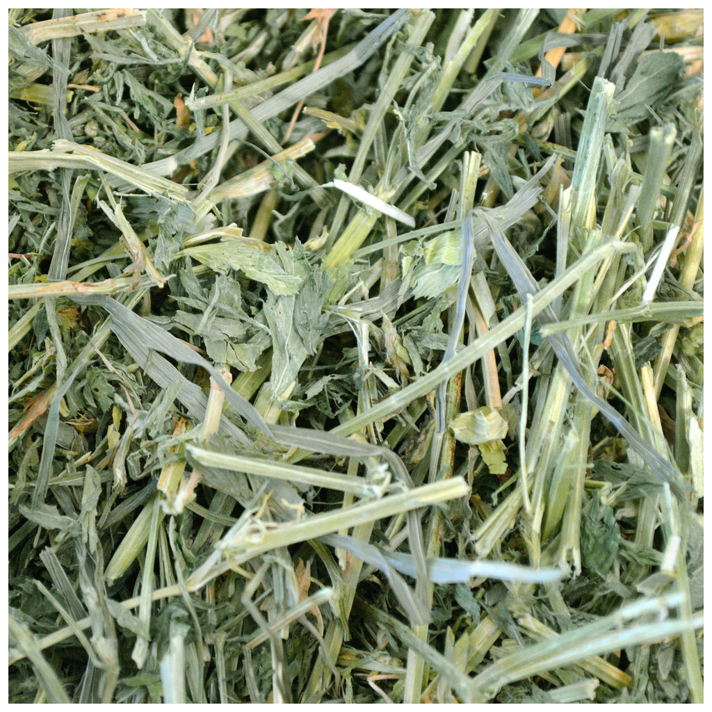 Alfalfa Hay - 15 oz - BinkyBunny.com House Rabbit Store