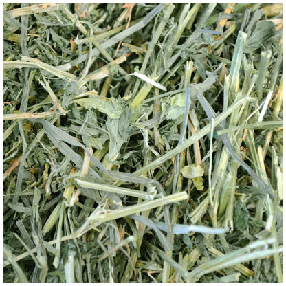 Alfalfa Hay - Now 40 oz - BinkyBunny.com House Rabbit Store
