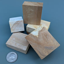 Birch BLOCKS (New) - BinkyBunny.com House Rabbit Store
