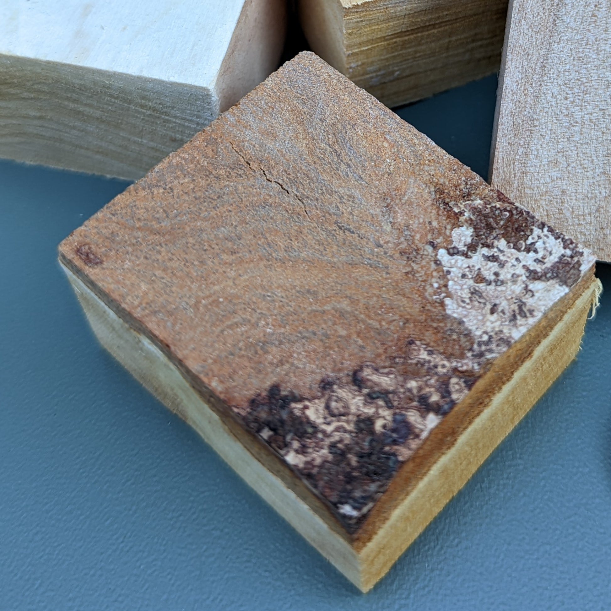 Birch BLOCKS (New) - BinkyBunny.com House Rabbit Store