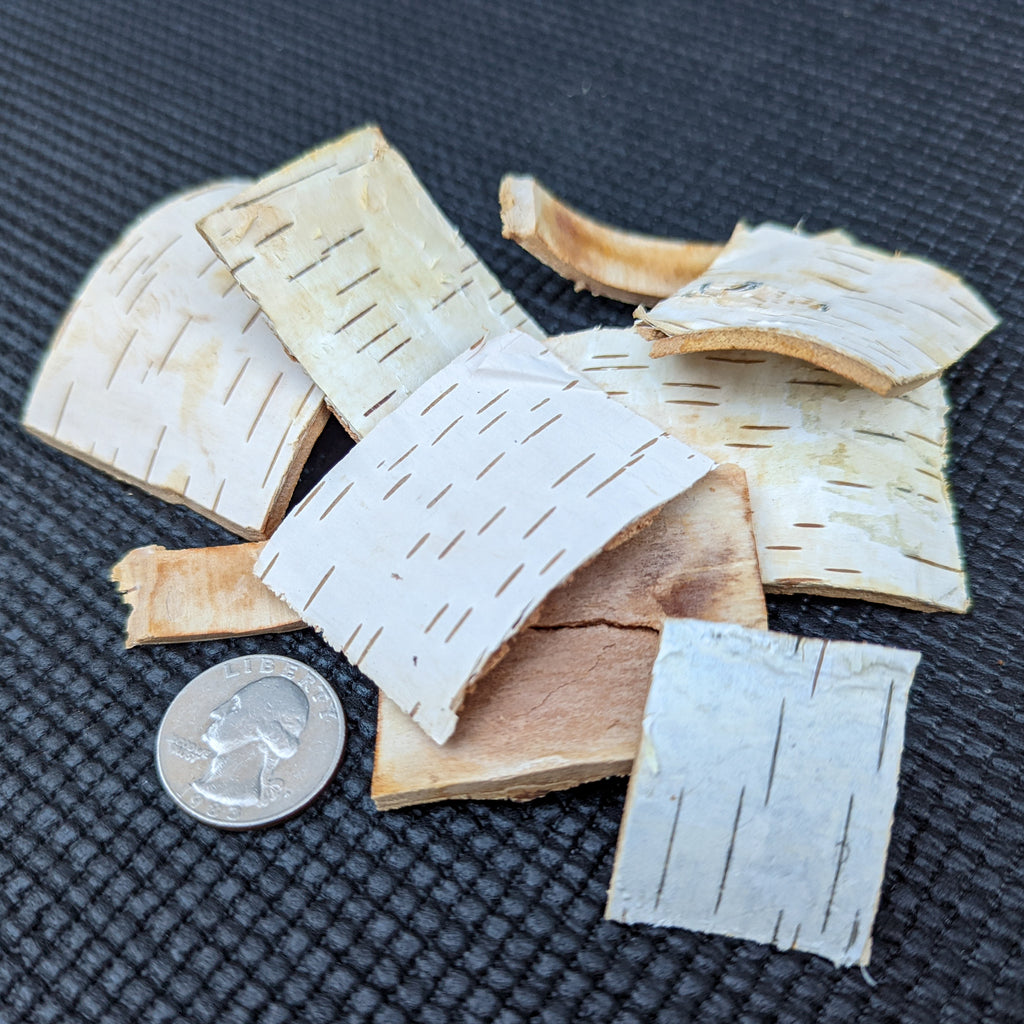 Birch BARK Chips (New) - BinkyBunny.com House Rabbit Store