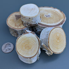 BIRCH Chunks (New) - BinkyBunny.com House Rabbit Store