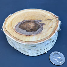 BIRCH XLARGE Chunk  (New) - BinkyBunny.com House Rabbit Store