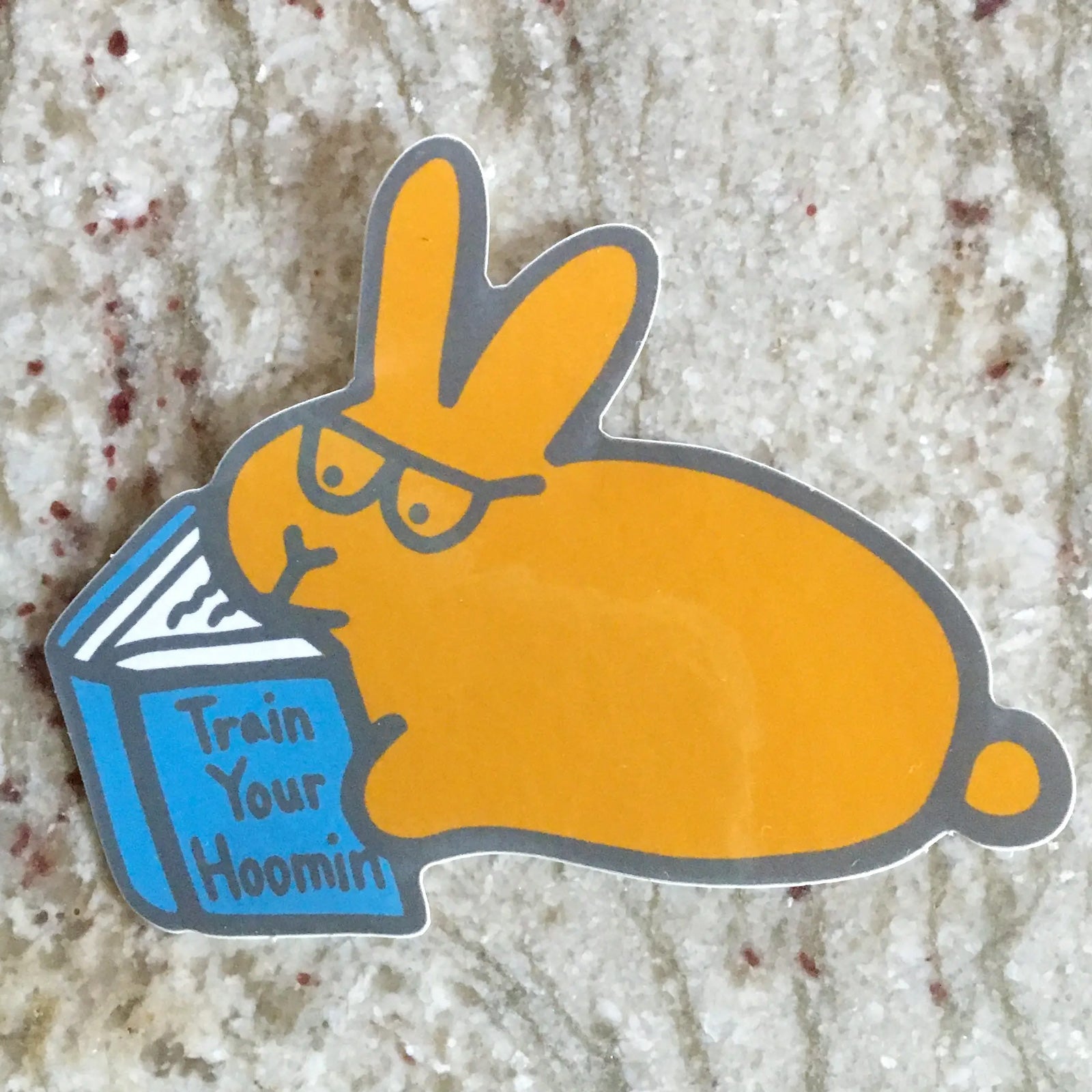 Book Bunny STICKER - BinkyBunny.com House Rabbit Store