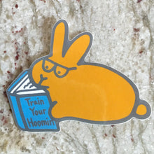 Book Bunny STICKER - BinkyBunny.com House Rabbit Store