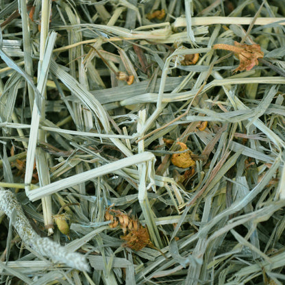 Botanical Hay - 15 oz - BinkyBunny.com House Rabbit Store