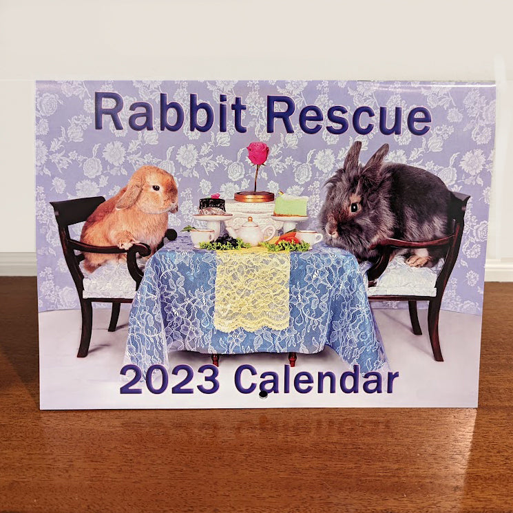 2023 Rabbit Rescue Calendar - NEW 2023 - BinkyBunny.com House Rabbit Store