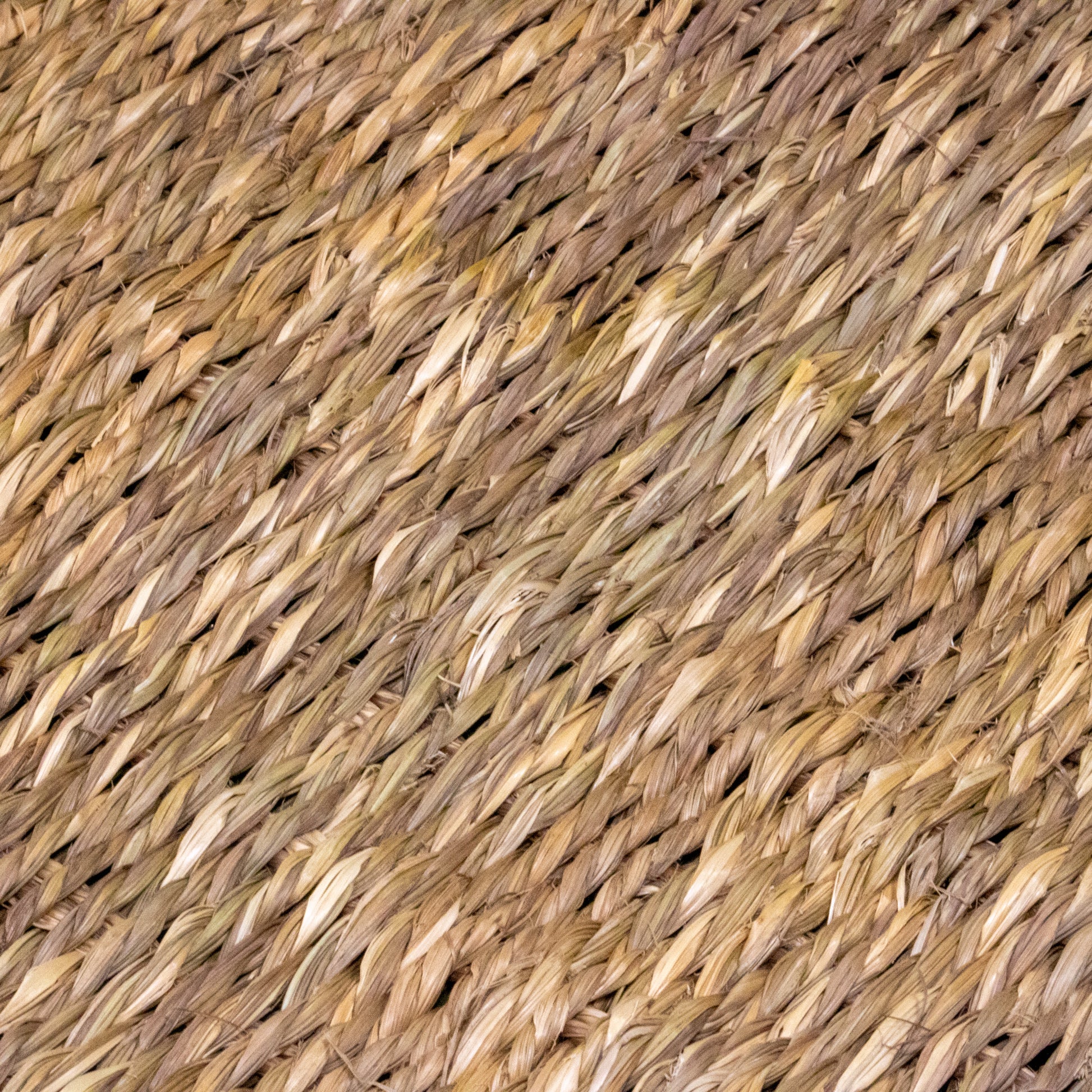 DOUBLE Weave Sea Grass Mat LARGE - 40 PACK [18" x 11.5"] - BinkyBunny.com House Rabbit Store