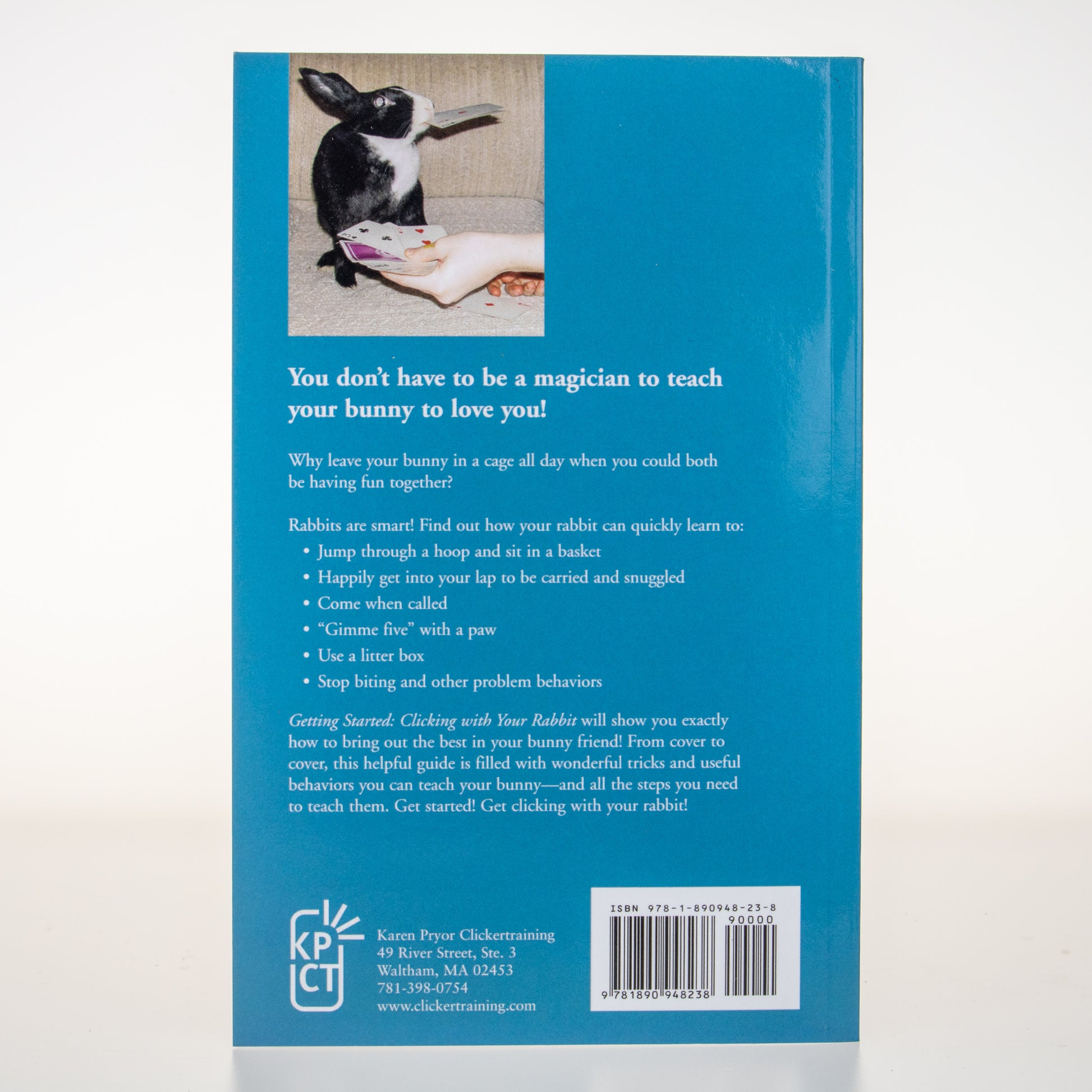 Getting Started: Clicking with Your Rabbit - BinkyBunny.com House Rabbit Store
