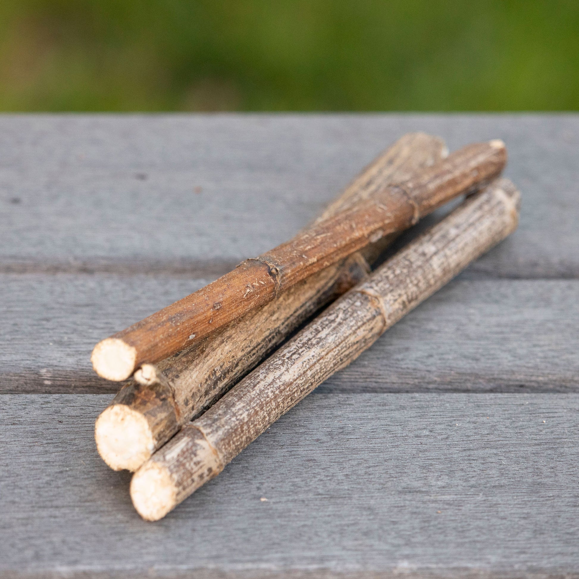 Jerusalem Artichoke Mini Logs (3)  NEW - BinkyBunny.com House Rabbit Store