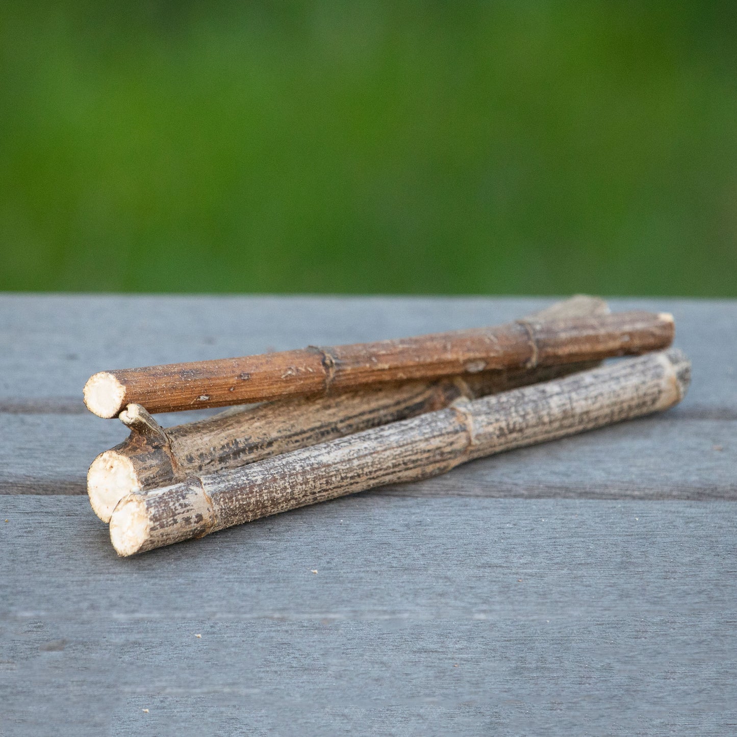 Jerusalem Artichoke Mini Logs (3)  NEW - BinkyBunny.com House Rabbit Store