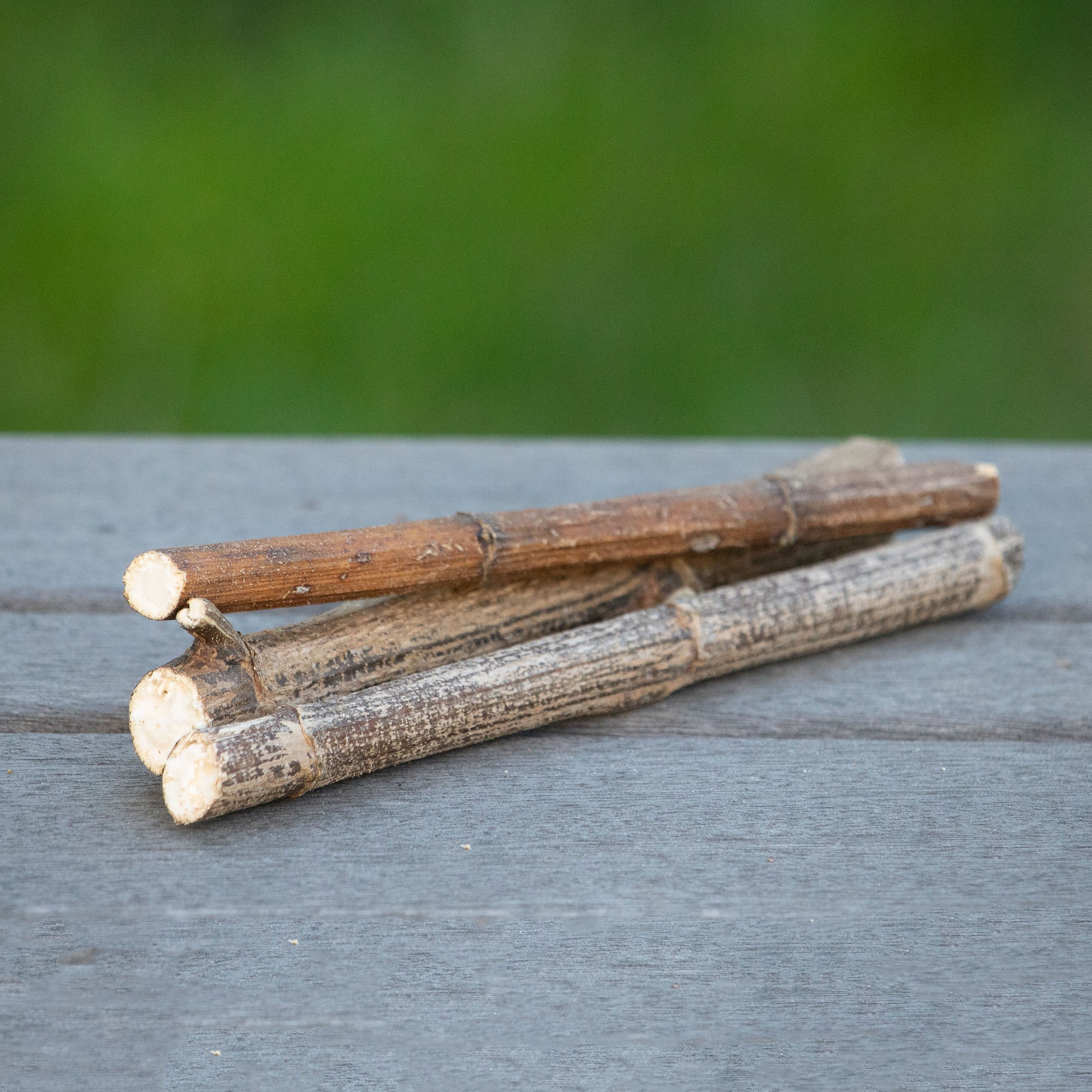 Jerusalem Artichoke Mini Logs (3)  NEW - BinkyBunny.com House Rabbit Store