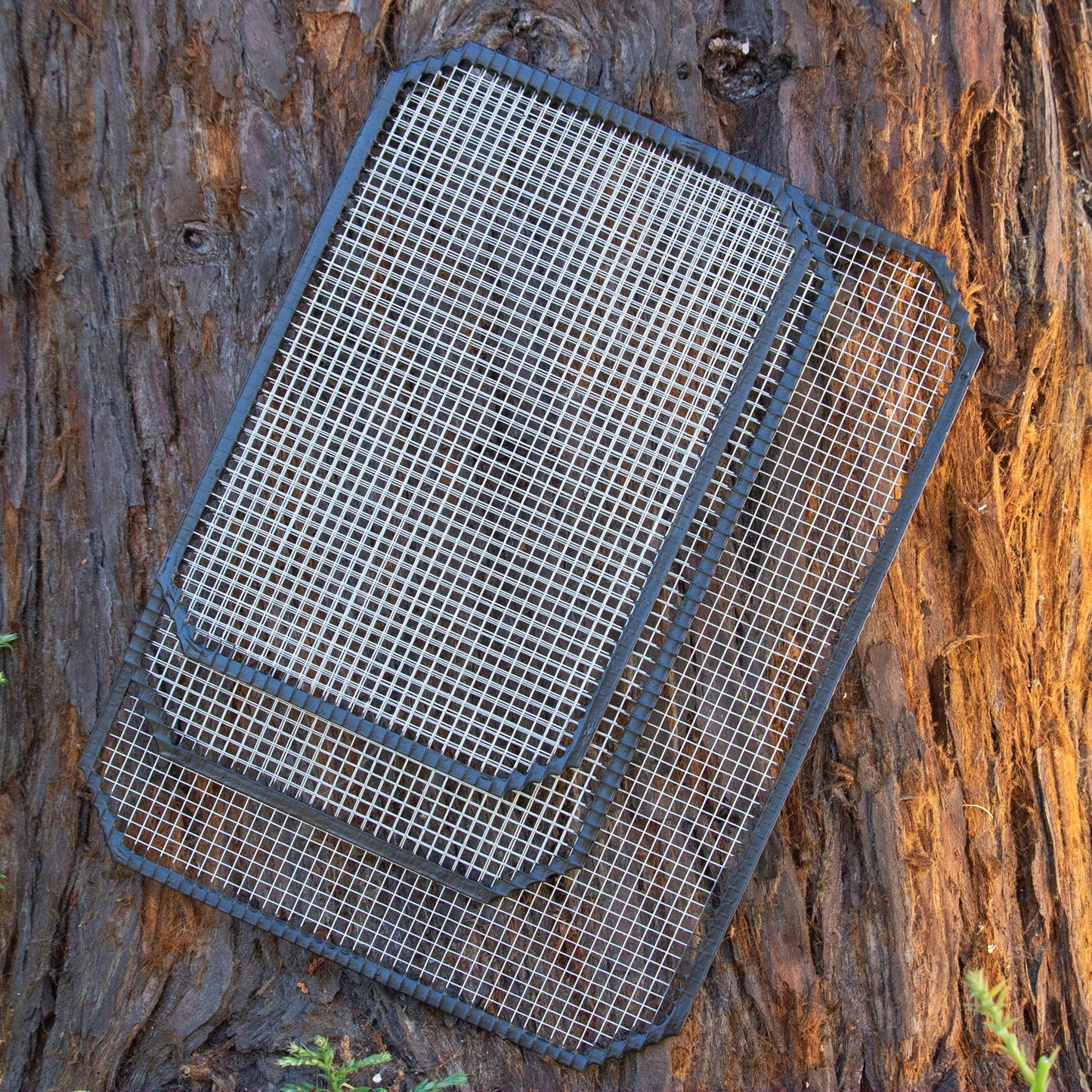 Litter Box SCREEN ONLY (3 Sizes) (Pre-Order Only) - BinkyBunny.com House Rabbit Store