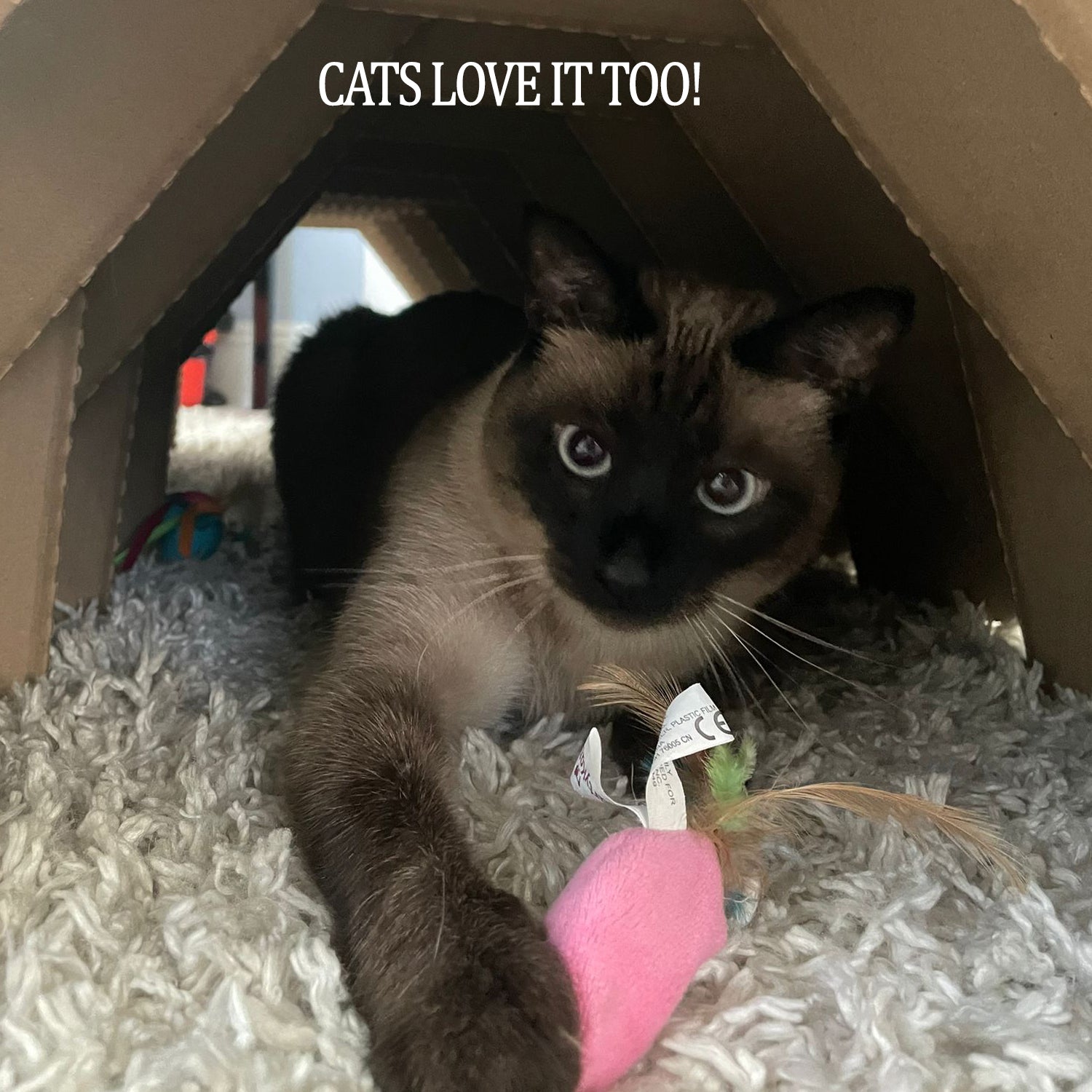 TUNNEL HAVEN (BinkyBunny) - BinkyBunny.com House Rabbit Store