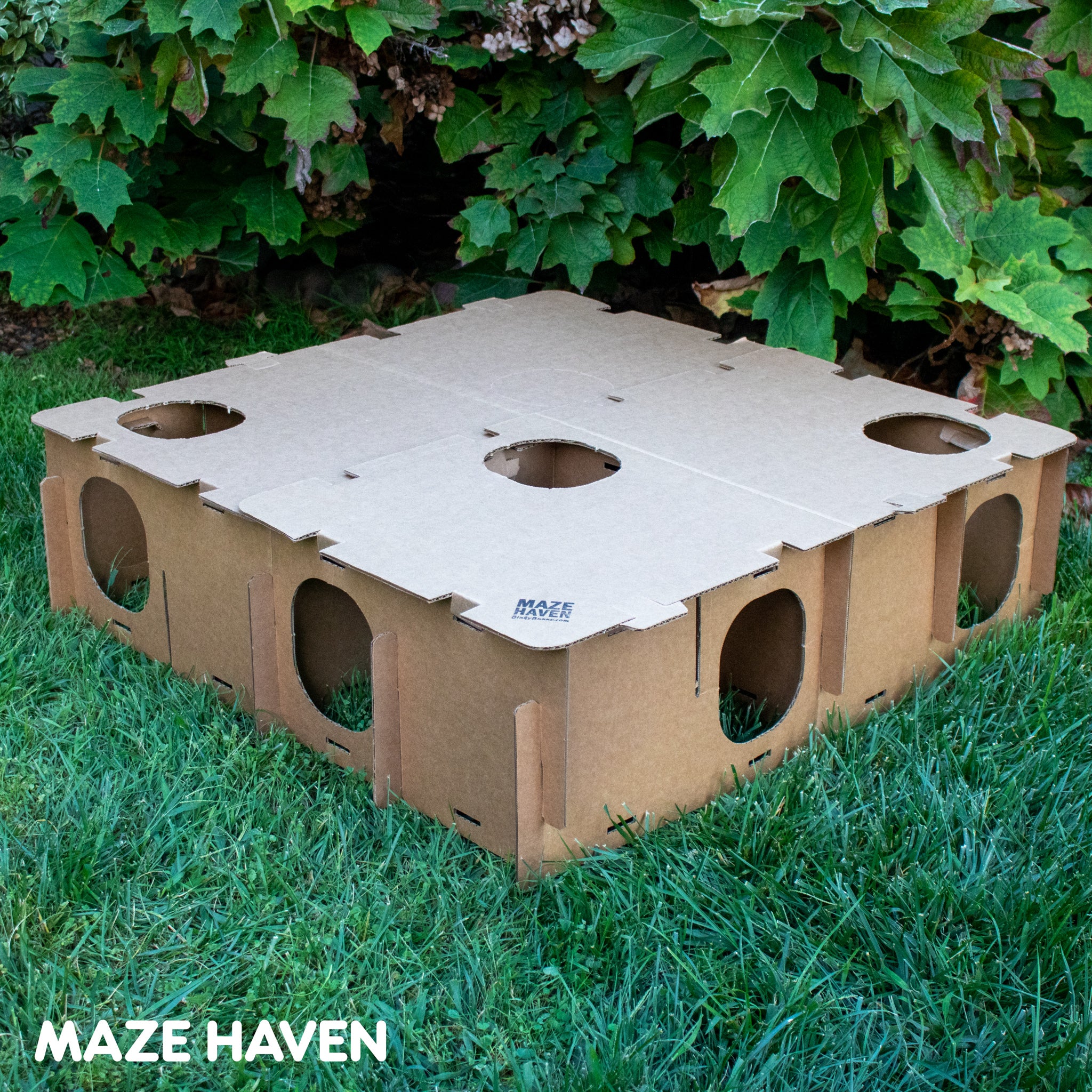MAZE HAVEN (Original by BinkyBunny) – BinkyBunny.com House Rabbit
