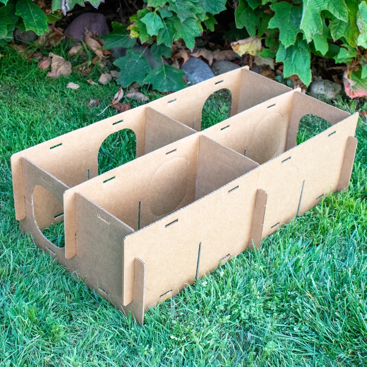 MAZE HAVEN (BinkyBunny) - BinkyBunny.com House Rabbit Store