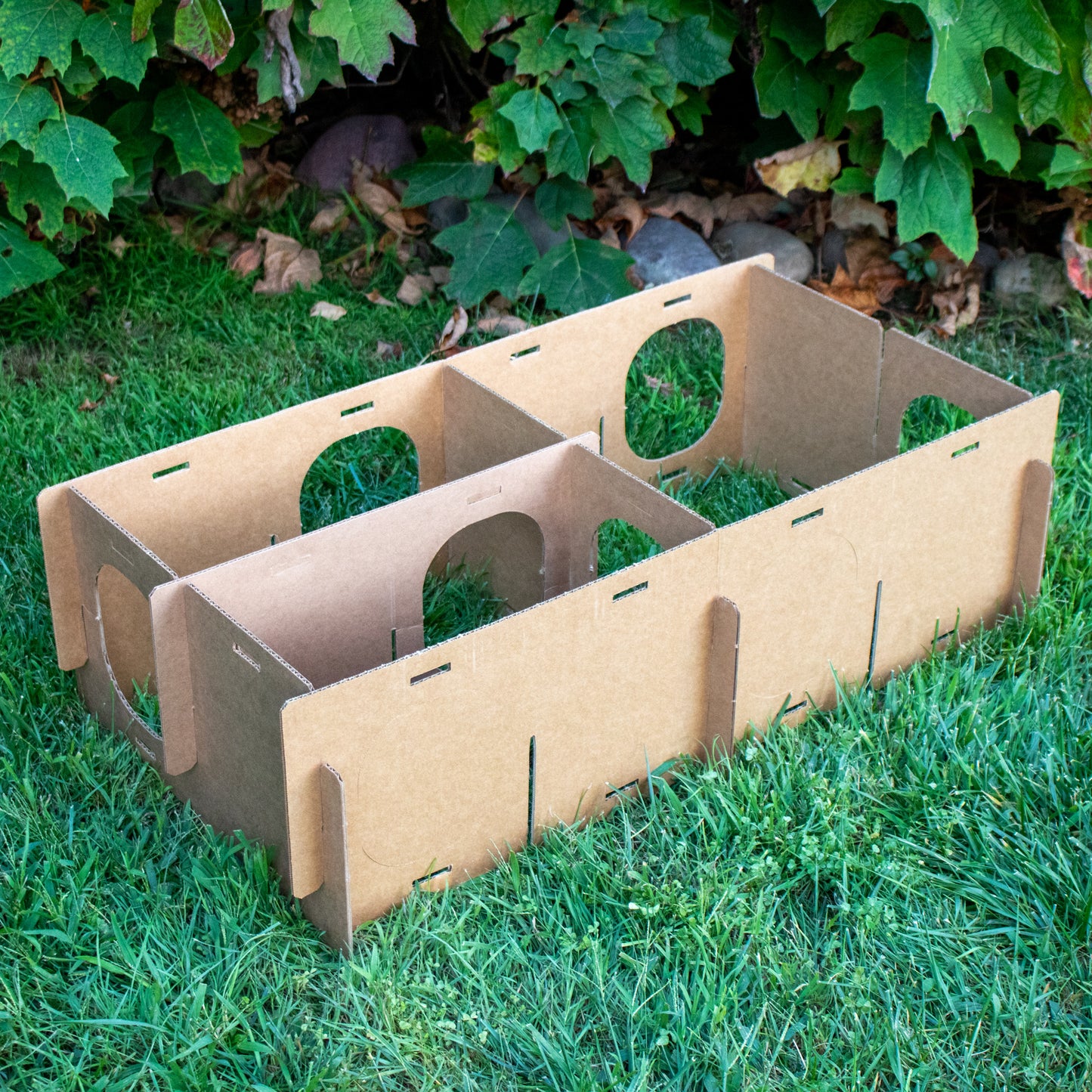 MAZE HAVEN (BinkyBunny) - BinkyBunny.com House Rabbit Store