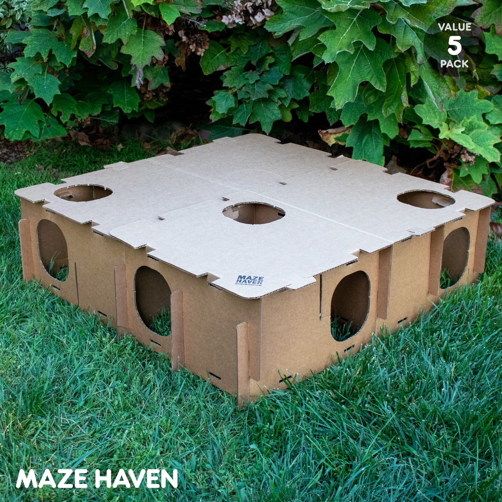 MAZE HAVEN - 5 PACK - BinkyBunny.com House Rabbit Store