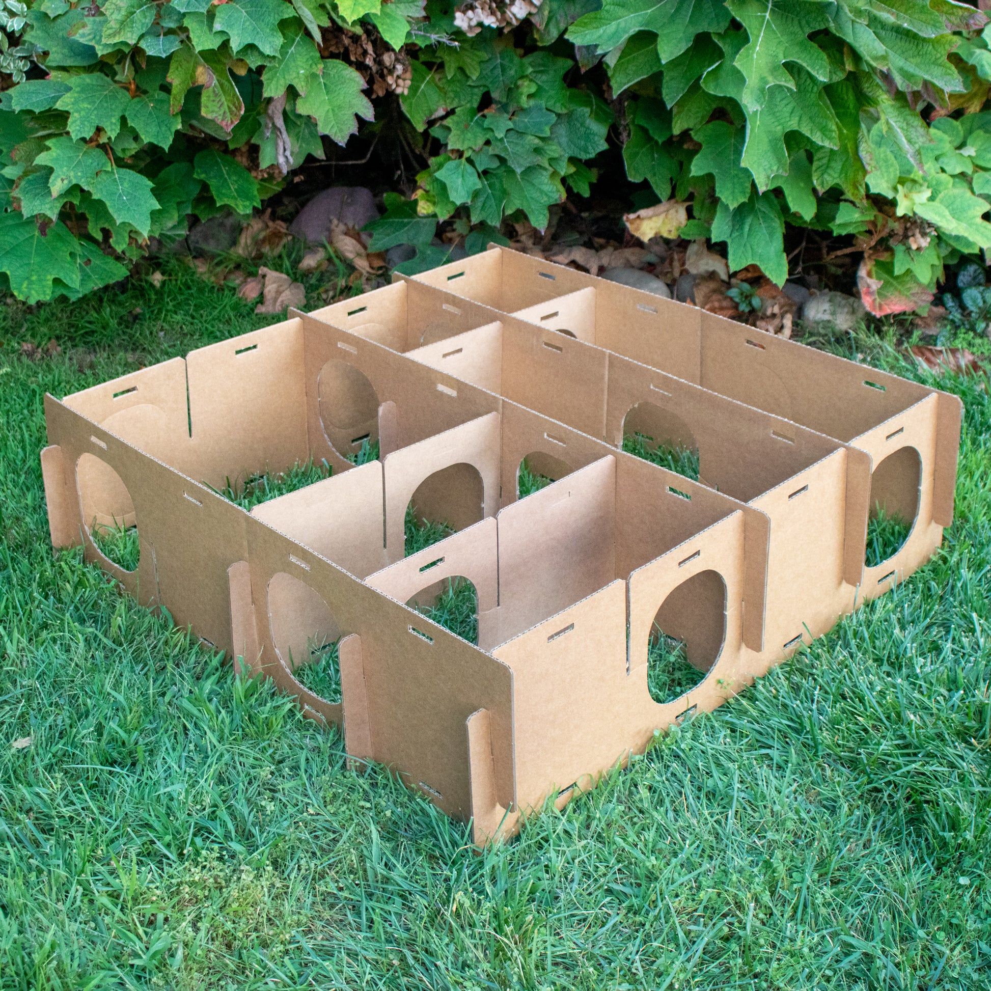MAZE HAVEN (BinkyBunny) - BinkyBunny.com House Rabbit Store