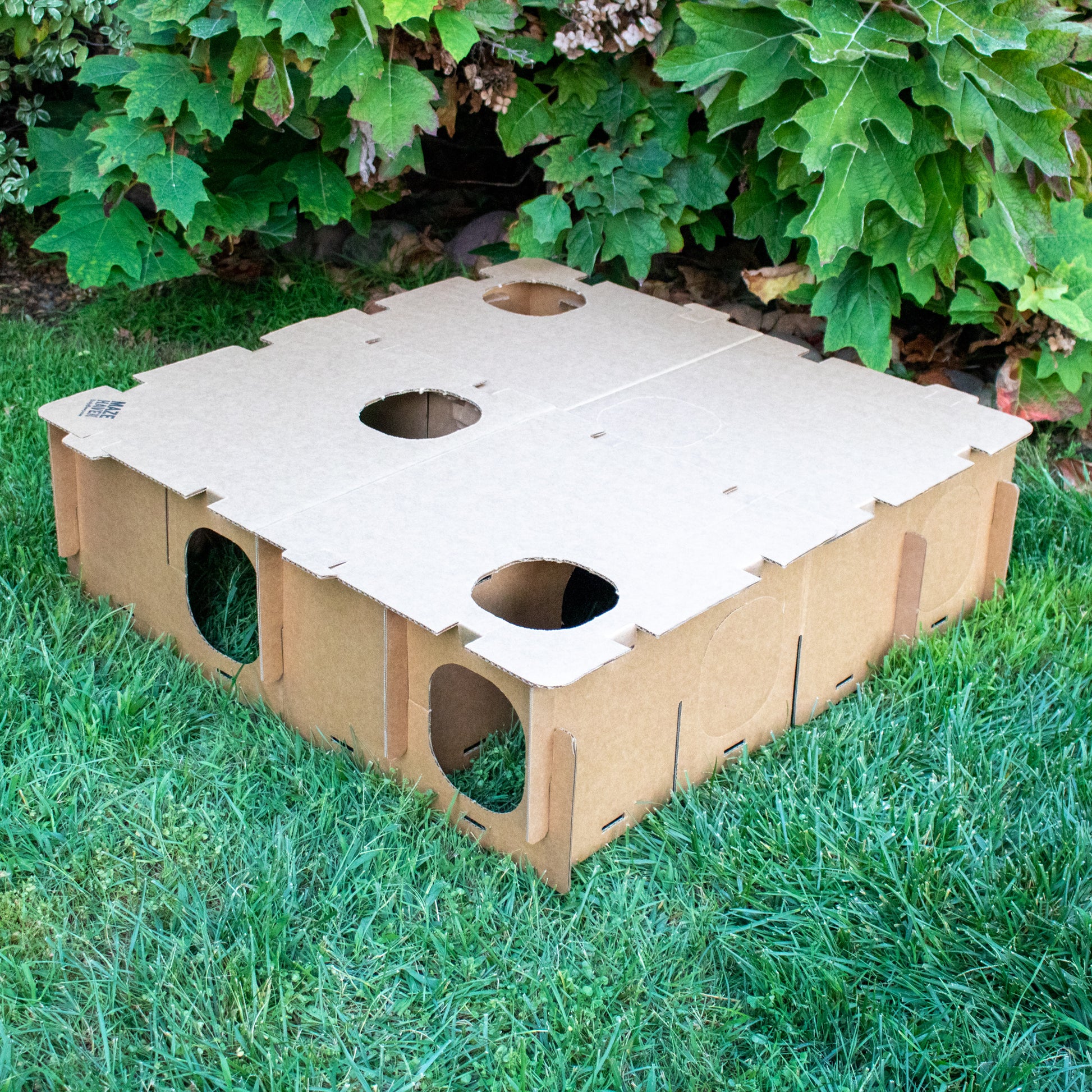 MAZE HAVEN (BinkyBunny) - BinkyBunny.com House Rabbit Store