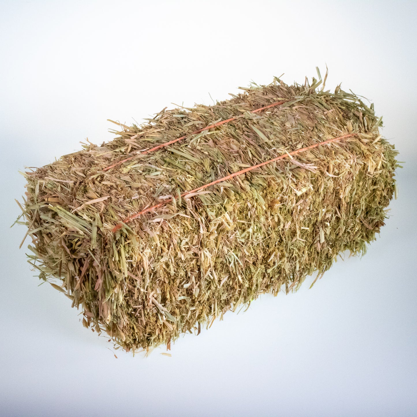 Mini Hay Bale - OAT (Young) - BinkyBunny.com House Rabbit Store