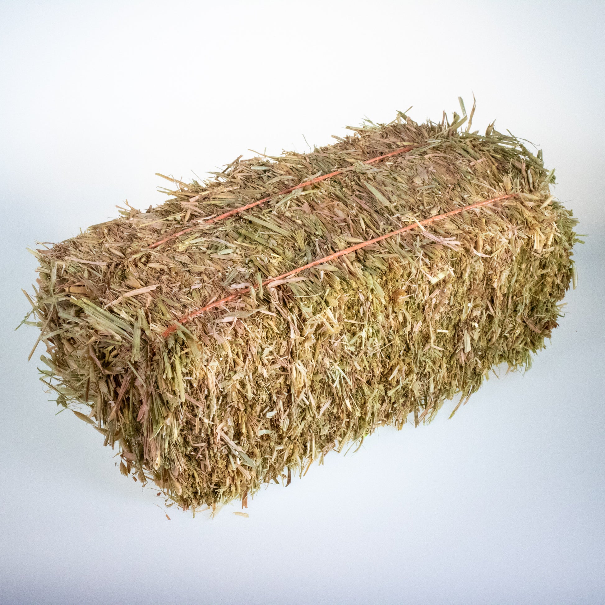 Mini Hay Bale - OAT (Young) - BinkyBunny.com House Rabbit Store