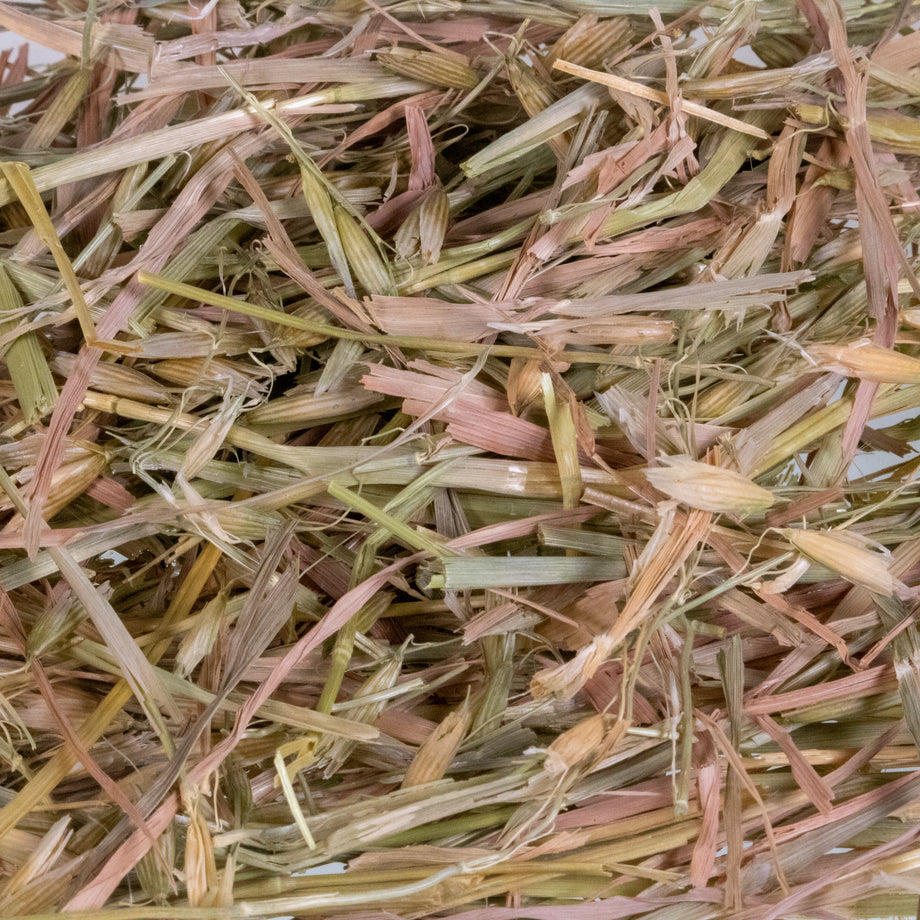 Mini Hay Bale - WHEAT
