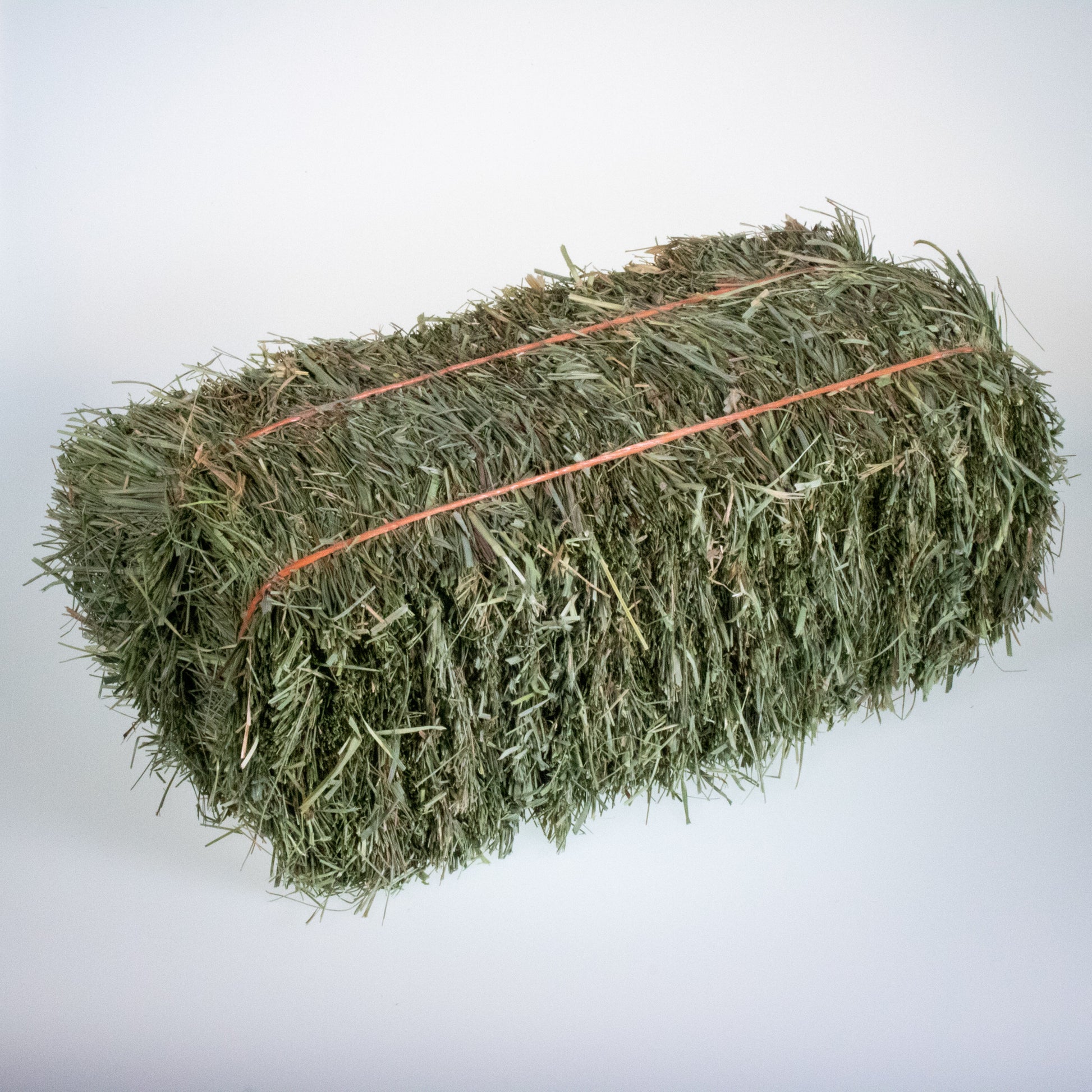 Mini Hay Bale - ORCHARD - BinkyBunny.com House Rabbit Store