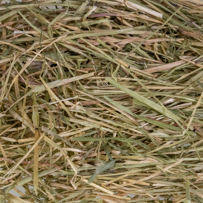 Mini Hay Bale - ORCHARD - BinkyBunny.com House Rabbit Store