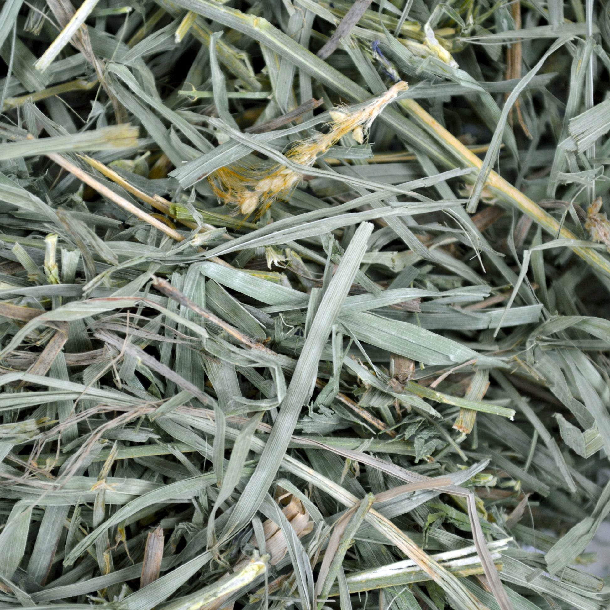 Organic Meadow Hay - 40 oz - BinkyBunny.com House Rabbit Store