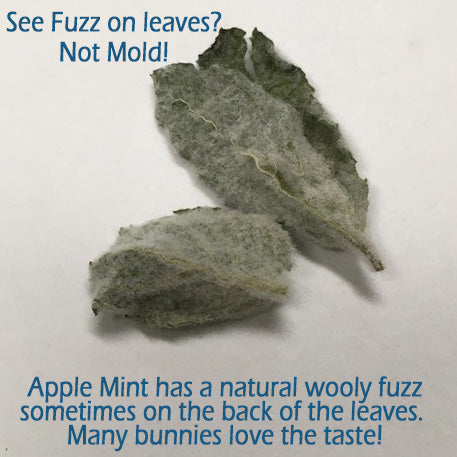 Fruity Mint Medley (New Formulation) - BinkyBunny.com House Rabbit Store
