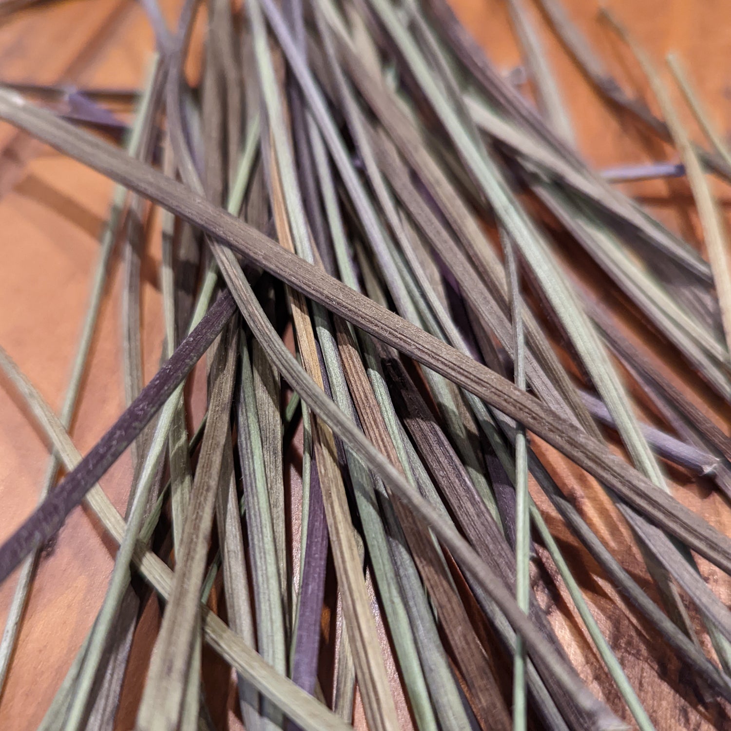 Plantain Pick-A-Stick  (Limited Supply - will be getting more soon!) - BinkyBunny.com House Rabbit Store
