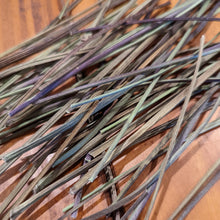 Plantain Pick-A-Stick  (Limited Supply - will be getting more soon!) - BinkyBunny.com House Rabbit Store