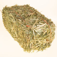 Mini Hay Bale - RYE (NEW HARVEST) - BinkyBunny.com House Rabbit Store