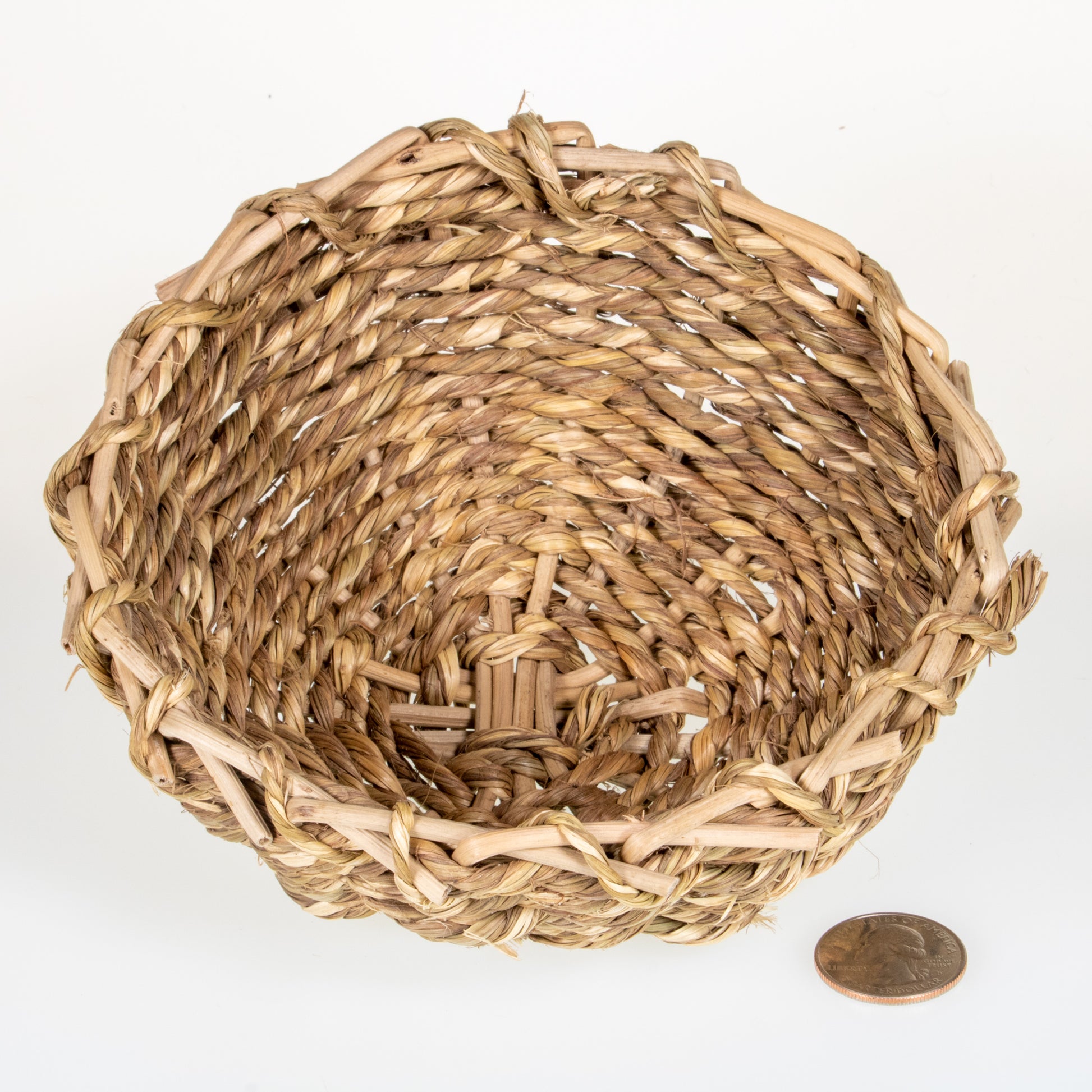 Sea Grass Bowl LARGE - 12 PACK [6"] - BinkyBunny.com House Rabbit Store