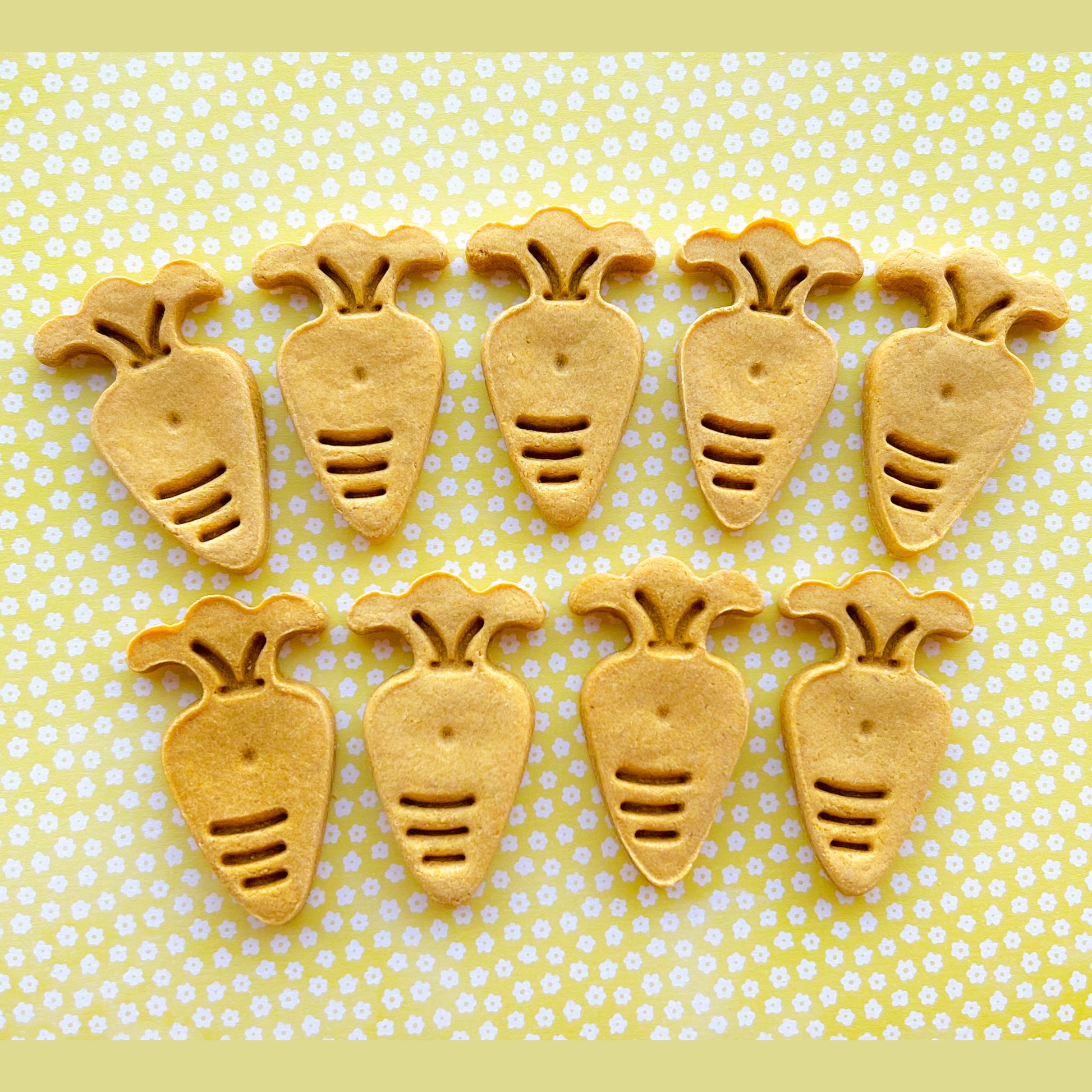 Spring Carrot Treats - BinkyBunny.com House Rabbit Store