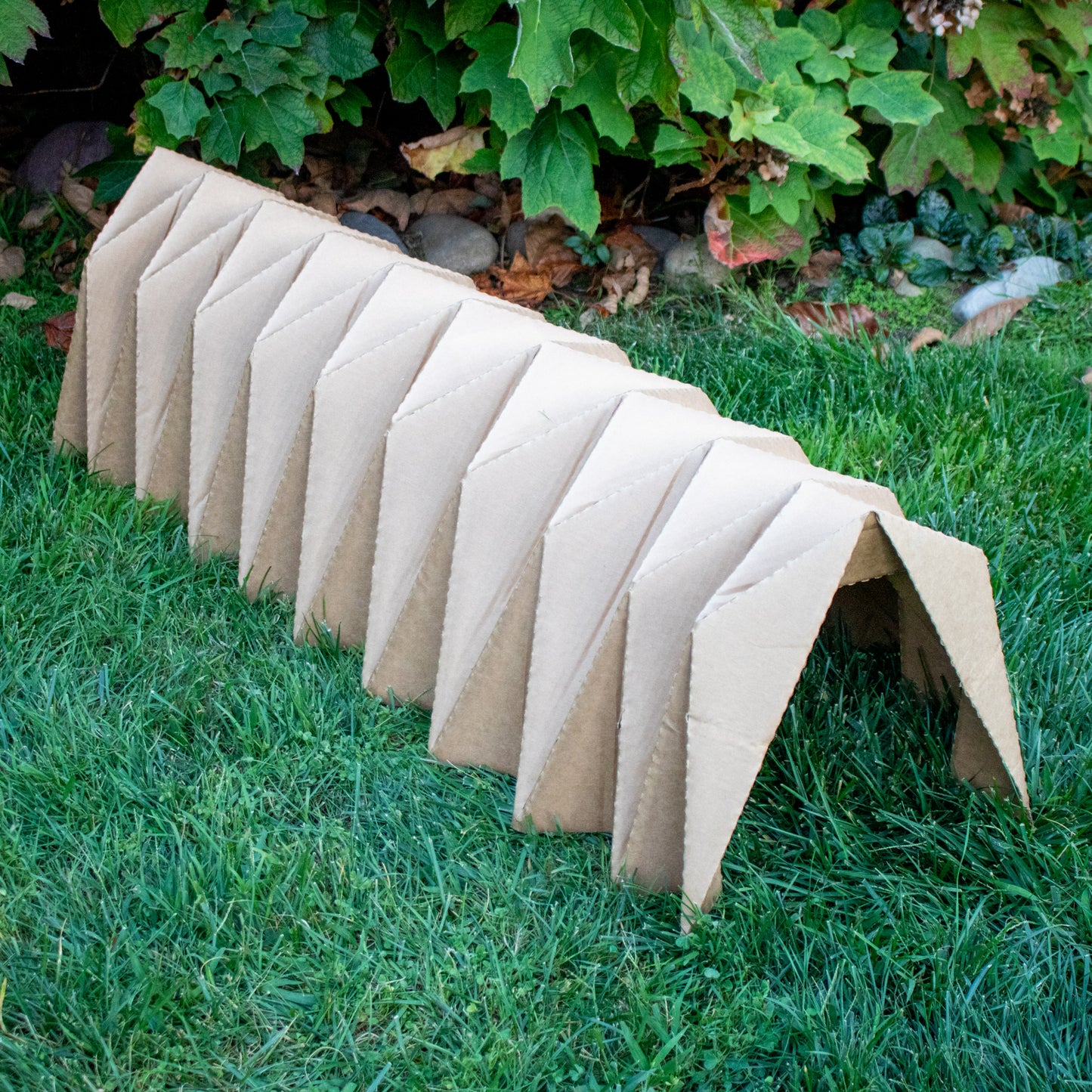 TUNNEL HAVEN (BinkyBunny) - BinkyBunny.com House Rabbit Store