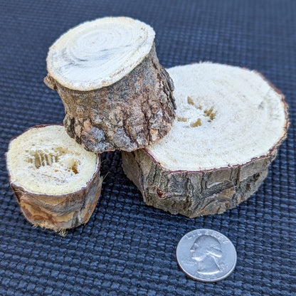 Yucca Chunks (New) - BinkyBunny.com House Rabbit Store