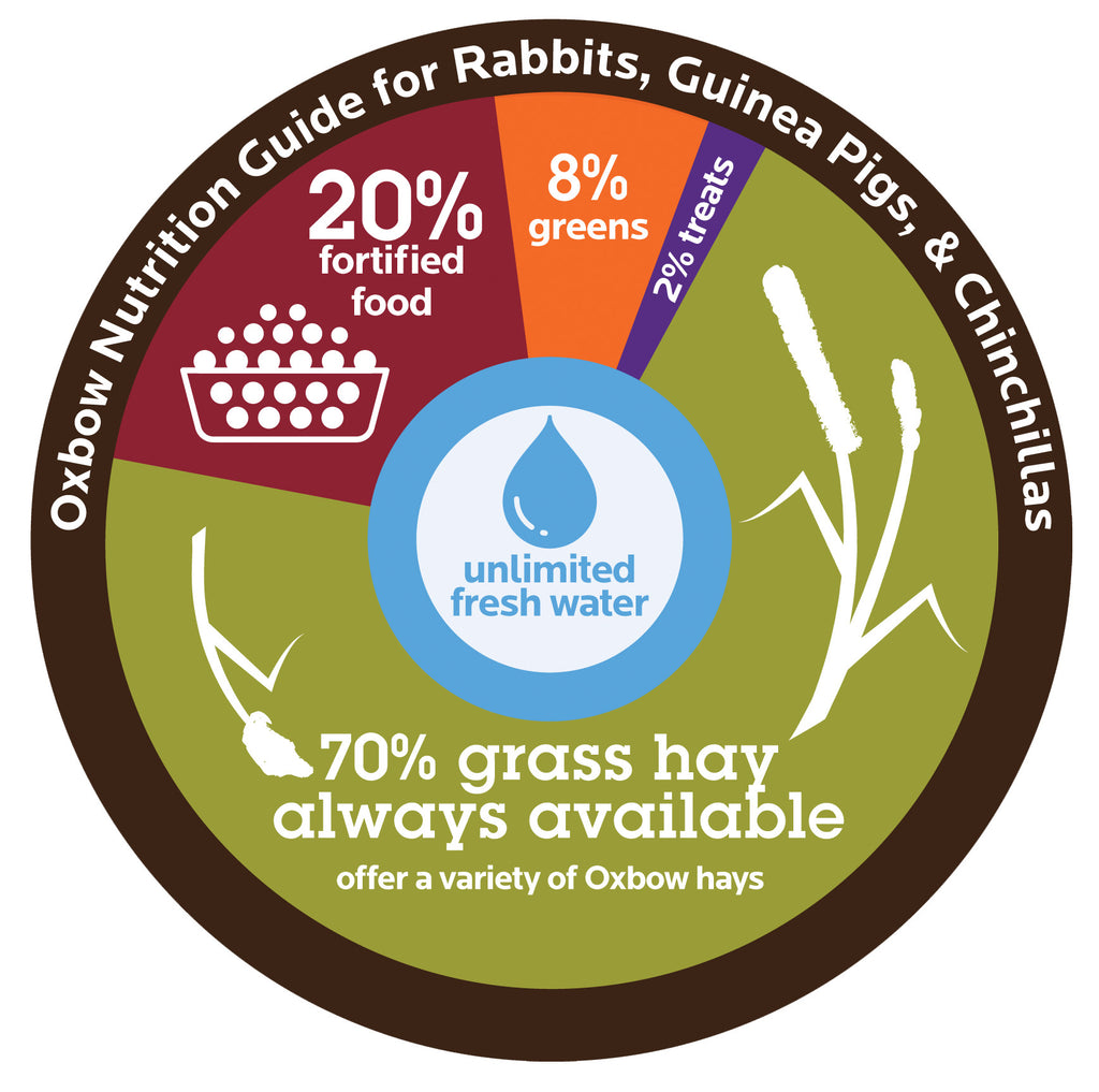 Essentials ADULT Rabbit Food - 5 & 10 lb. - BinkyBunny.com House Rabbit Store