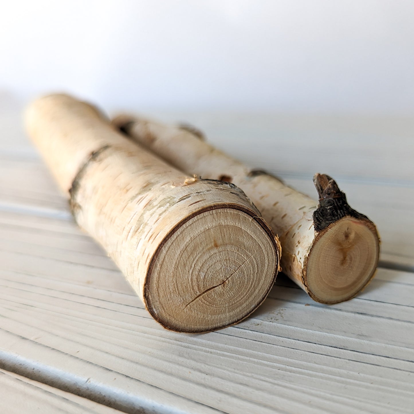 Birch Mini Logs (New) - BinkyBunny.com House Rabbit Store