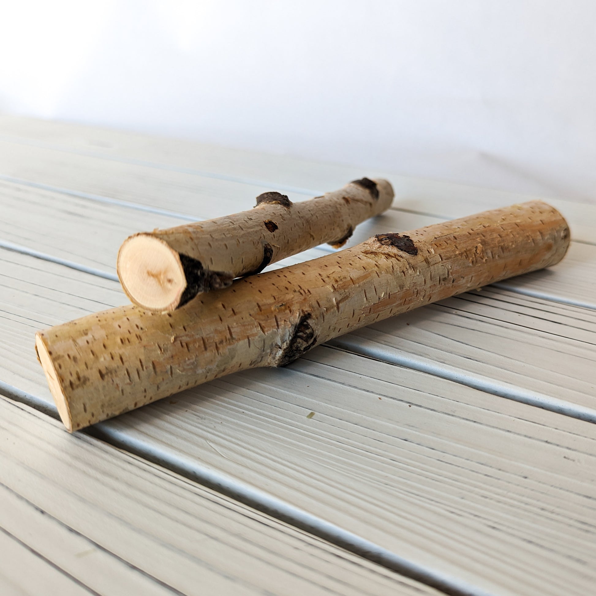 Birch Mini Logs (New) - BinkyBunny.com House Rabbit Store