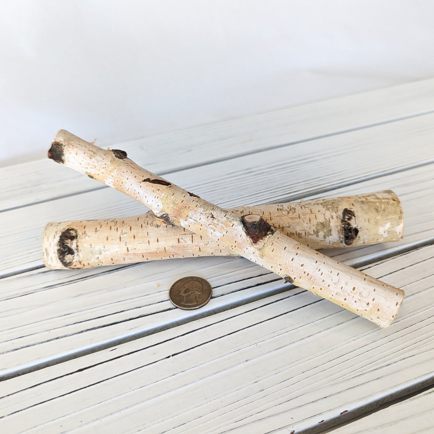 Birch Mini Logs (New) - BinkyBunny.com House Rabbit Store