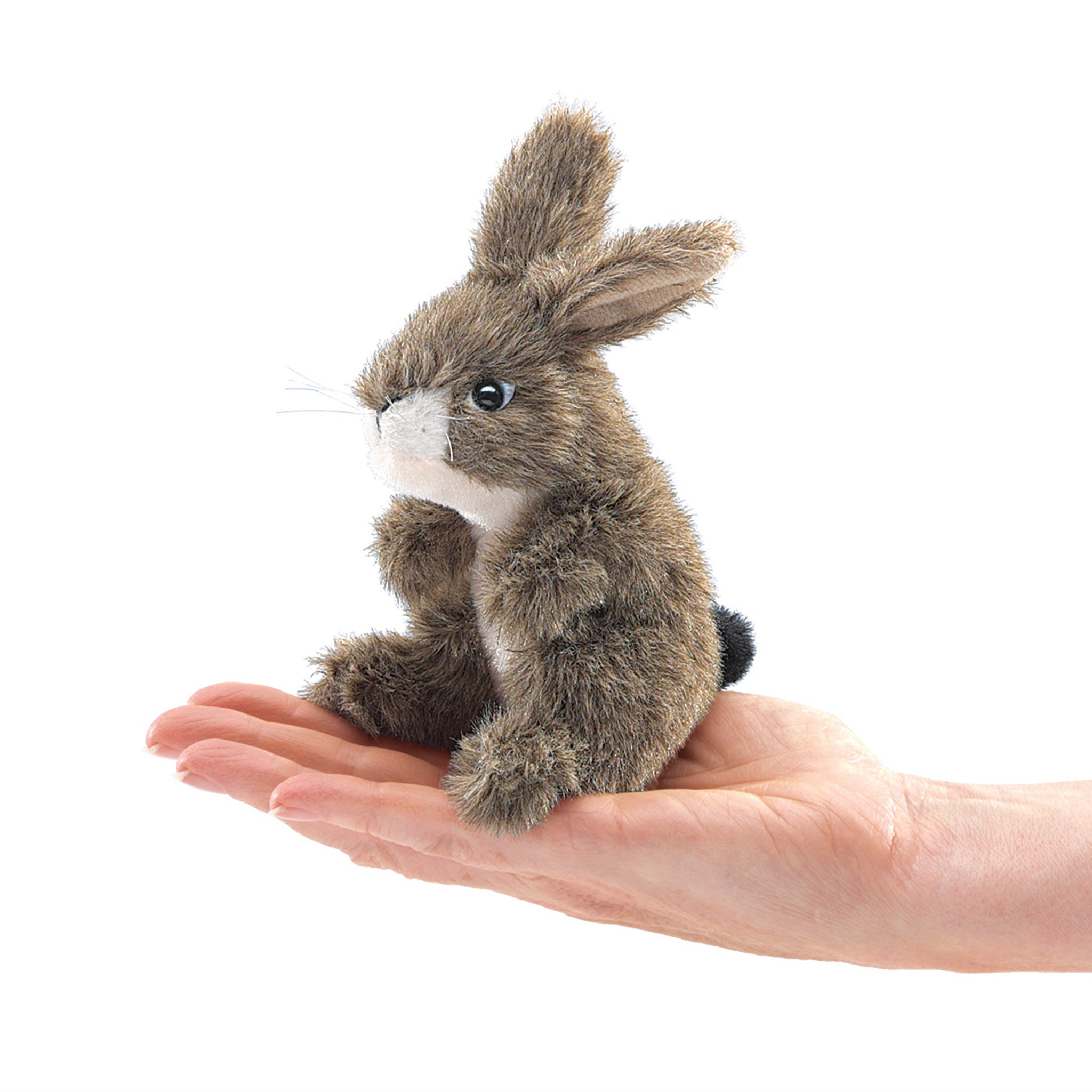 Finger Puppet - Jack Rabbit - BinkyBunny.com House Rabbit Store