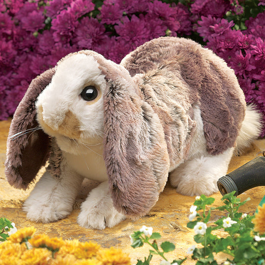 Puppet & Surrogate - Baby Lop - BinkyBunny.com House Rabbit Store